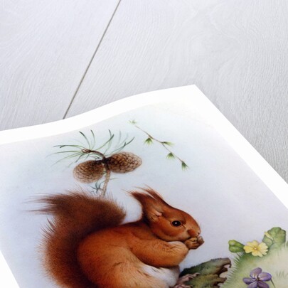 Red Squirrel with Primroses and Violets by Edward Julius Detmold