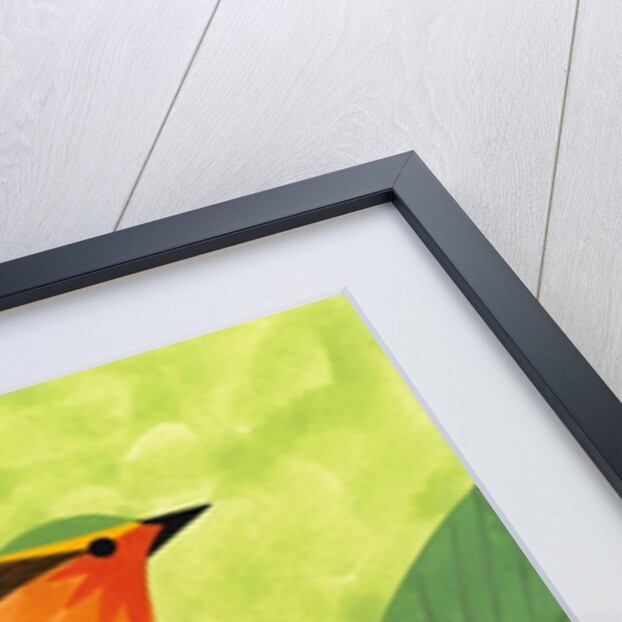 A Robin on a Branch by Anonymous