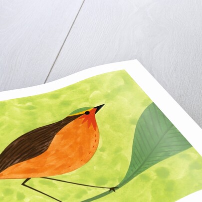 A Robin on a Branch by Anonymous