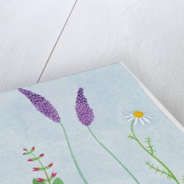 A Group of Blossoms by Anonymous