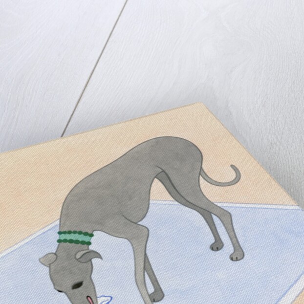 Dog Eating out of a Dish by Anonymous