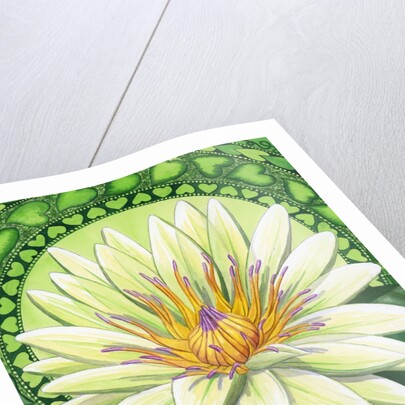 Heart Chakra by Anonymous