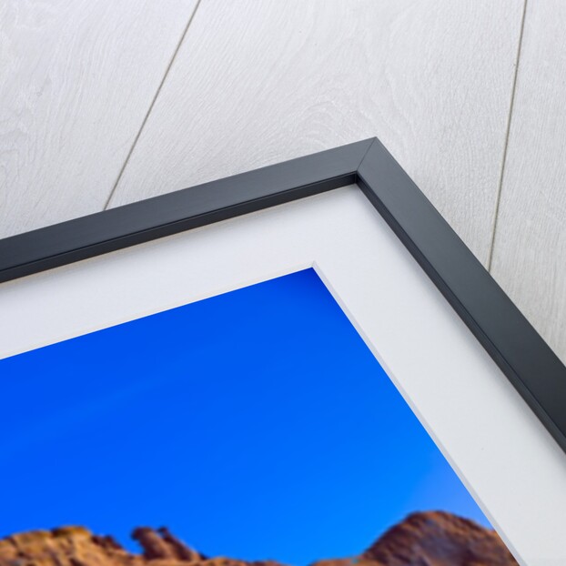 Road through Arches National Park by Anonymous