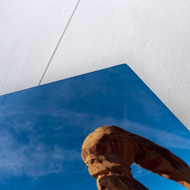 Delicate Arch in Arches National Park by Anonymous