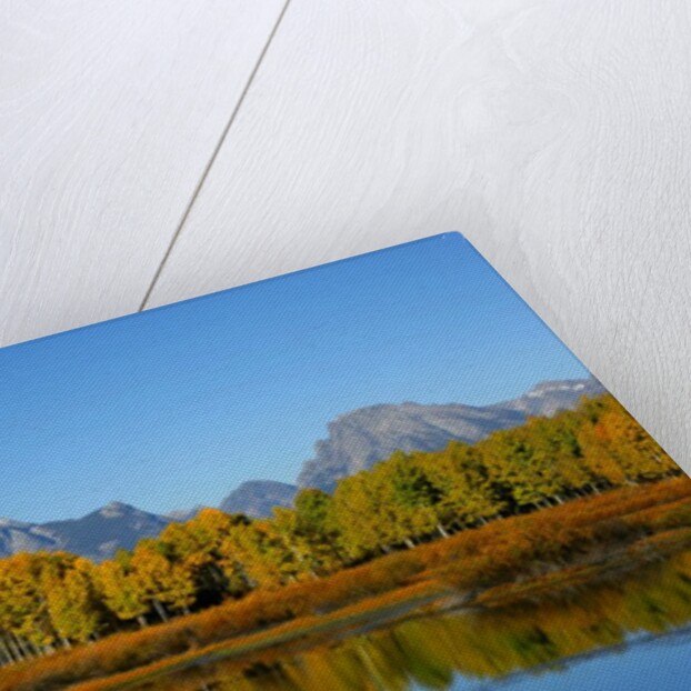 Oxbow Bend in Grand Teton National Park by Anonymous