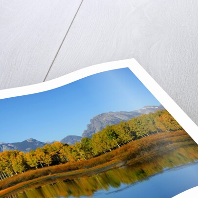 Oxbow Bend in Grand Teton National Park by Anonymous
