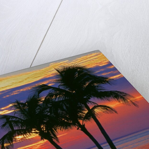 Colorful sunset over Sombrero Beach in the Florida Keys by Anonymous