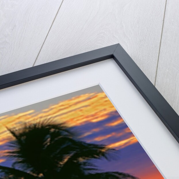 Colorful sunset over Sombrero Beach in the Florida Keys by Anonymous