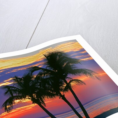 Colorful sunset over Sombrero Beach in the Florida Keys by Anonymous