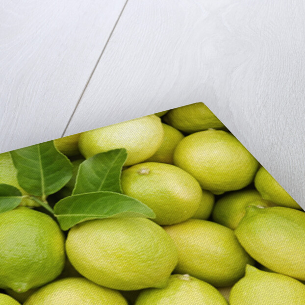 Fresh lemons by Anonymous