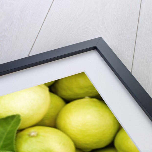 Fresh lemons by Anonymous