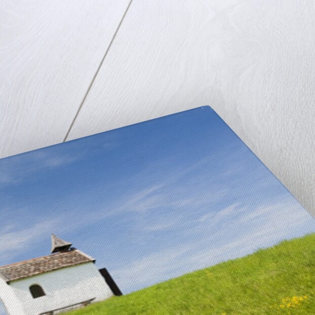 Lime tree and tiny white chapel in rural meadow by Anonymous
