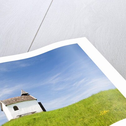 Lime tree and tiny white chapel in rural meadow by Anonymous