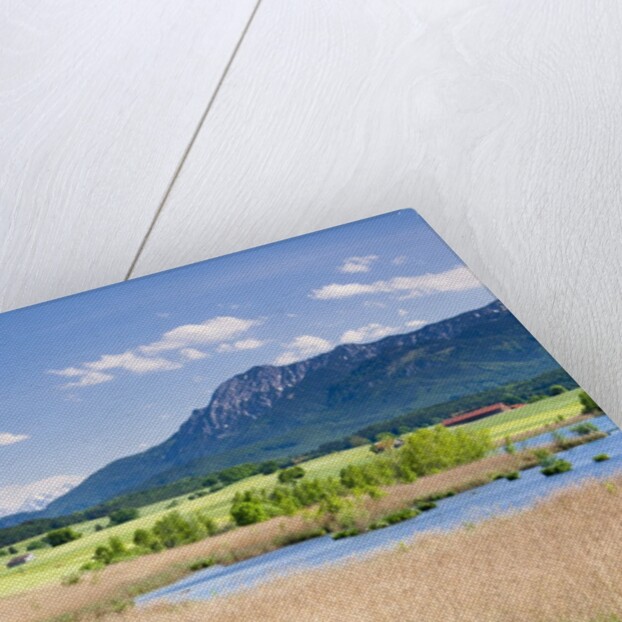 Marshland around Lake Riegsee below the Bavarian Alps by Anonymous