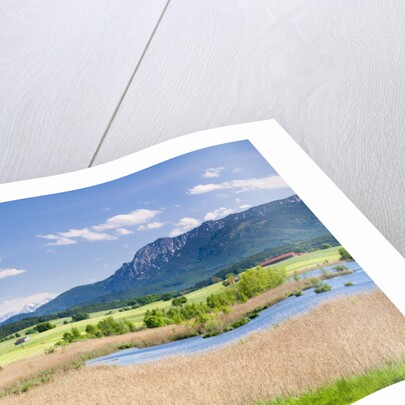 Marshland around Lake Riegsee below the Bavarian Alps by Anonymous