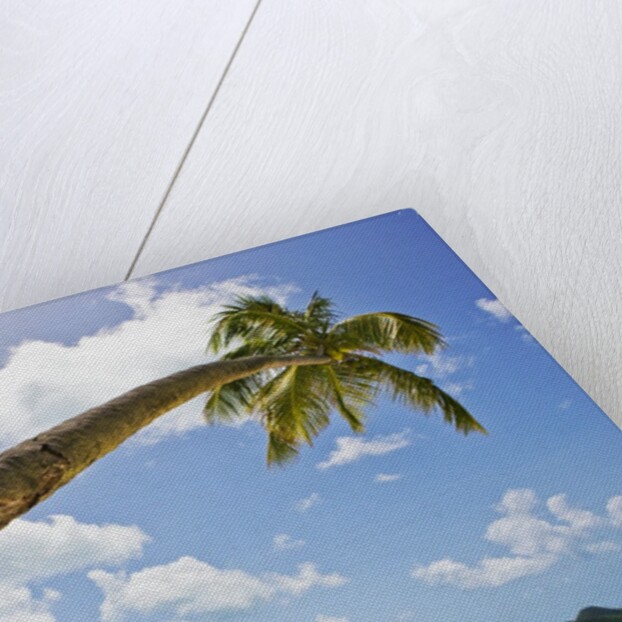 Idyllic tropical beach by Anonymous