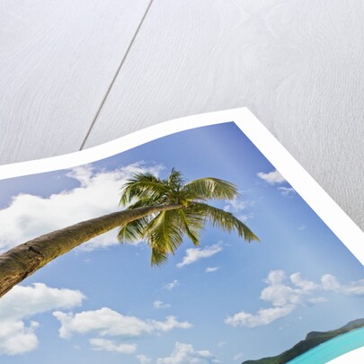 Idyllic tropical beach by Anonymous
