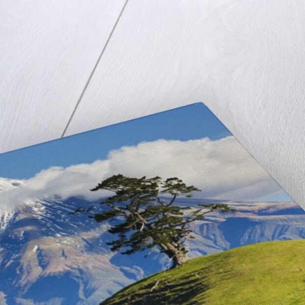 Lush hills in front of Mount Egmont by Corbis