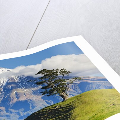 Lush hills in front of Mount Egmont by Corbis