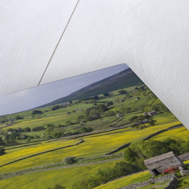 Stone barns and walls in fields by Anonymous