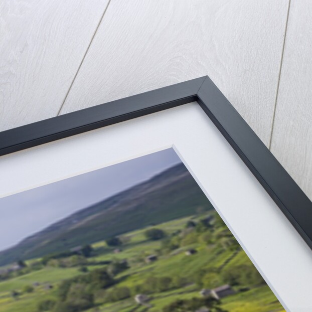 Stone barns and walls in fields by Anonymous