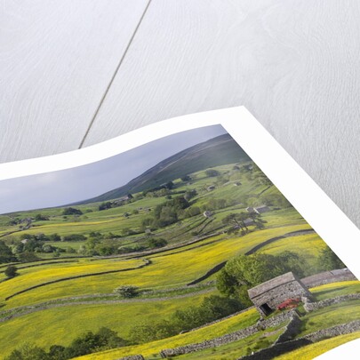 Stone barns and walls in fields by Anonymous
