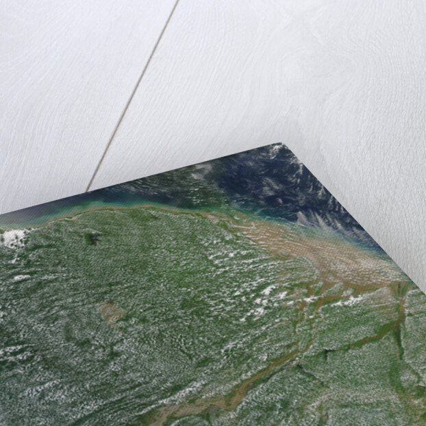 Amazon Rainforest during the dry season by Anonymous