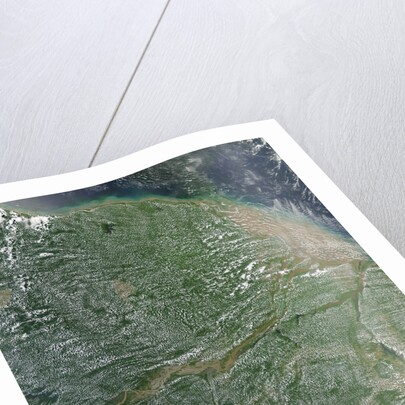 Amazon Rainforest during the dry season by Anonymous