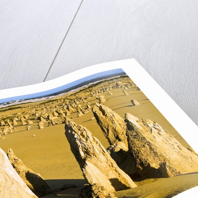 The Pinnacles in Australia by Anonymous