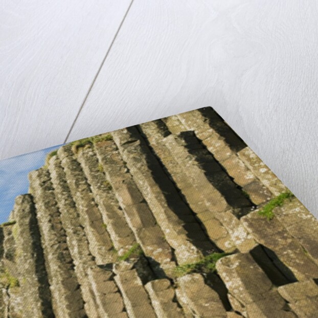 Giant's Causeway by Anonymous