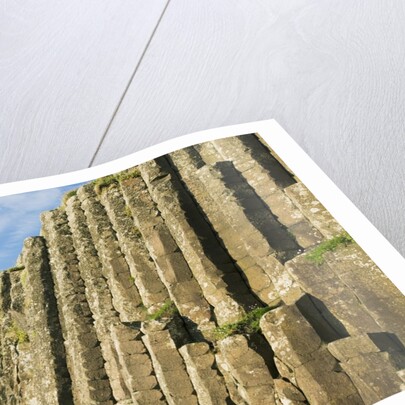 Giant's Causeway by Anonymous