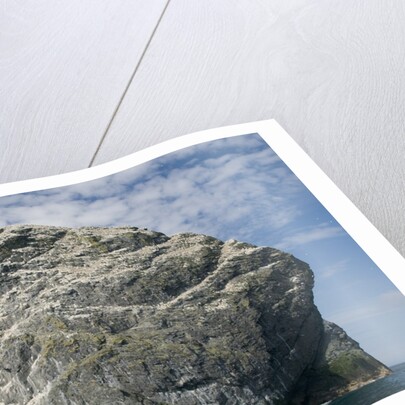 Northern gannet nesting colony atop Stac Lee by Anonymous
