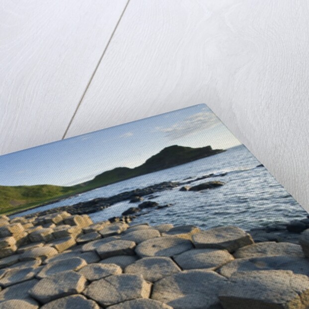 Giant's Causeway by Anonymous