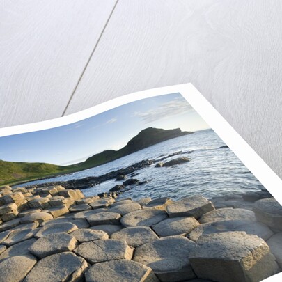 Giant's Causeway by Anonymous