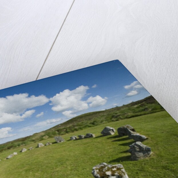 Beaghmore Stone Circle Complex by Anonymous