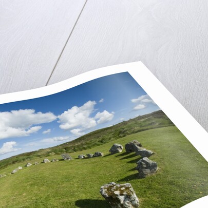 Beaghmore Stone Circle Complex by Anonymous