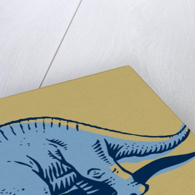 Stegosaurus by Anonymous