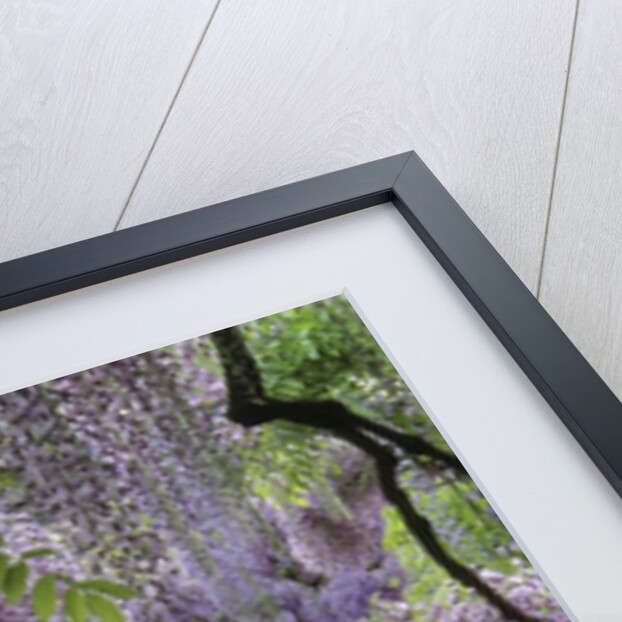 Spring garden by Anonymous