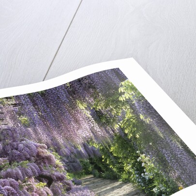 Spring garden by Anonymous