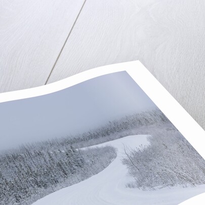 Dempster Highway in snow storm by Anonymous