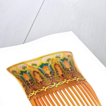 One of a pair of Art Nouveau tortoiseshell and enamel hair combs by Braquemond by Anonymous