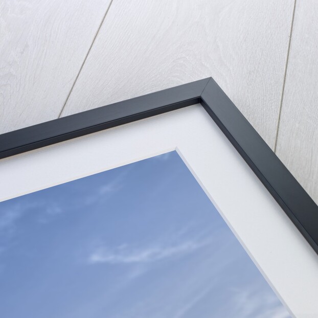 Statue of Nymphe and Louvre Museum, Paris by Anonymous