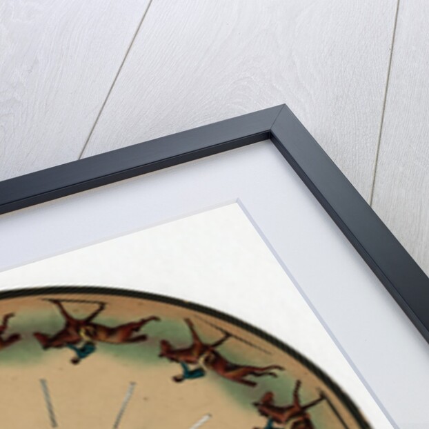 Zoopraxiscopeby with galloping horse by Eadweard Muybridge