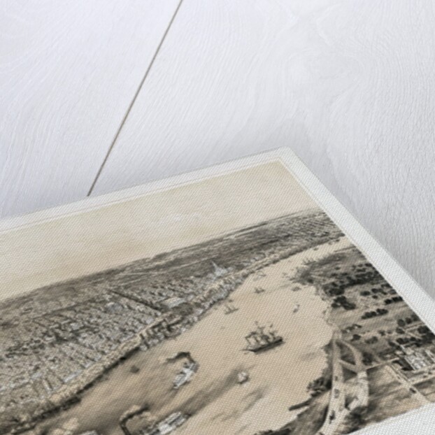 Birds' Eye View of New Orleans by Anonymous