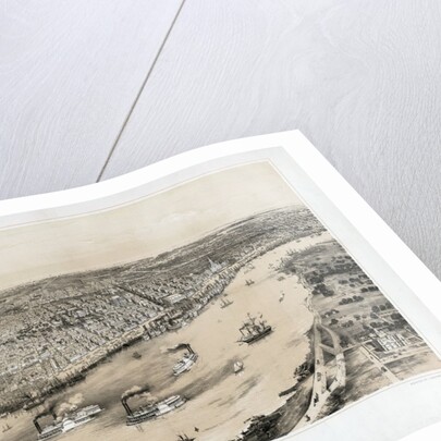 Birds' Eye View of New Orleans by Anonymous
