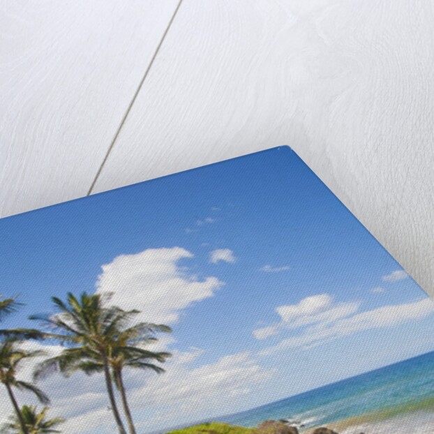 Secluded Po'olenalena Beach on Maui by Anonymous