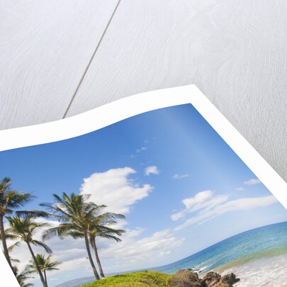 Secluded Po'olenalena Beach on Maui by Anonymous