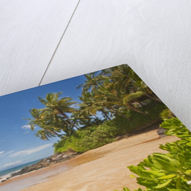 Secluded sandy beach on Maui by Anonymous