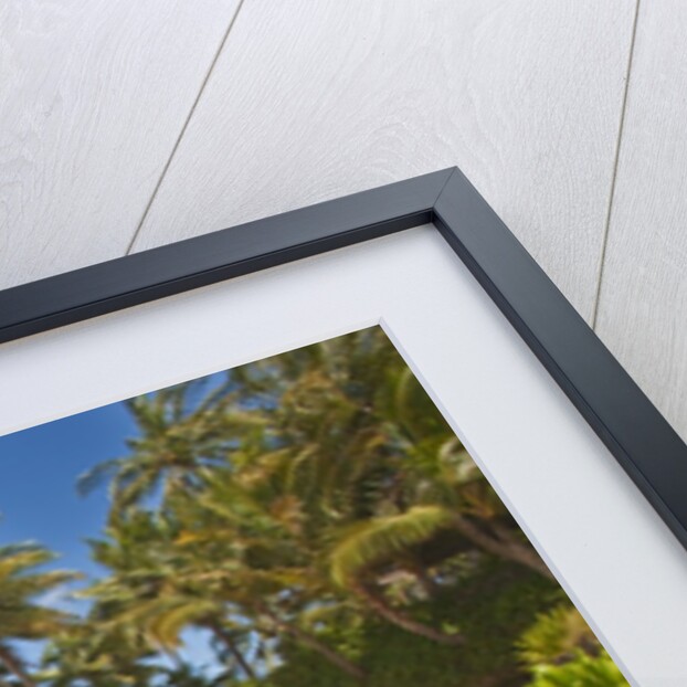 Secluded sandy beach on Maui by Anonymous