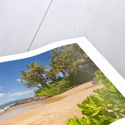 Secluded sandy beach on Maui by Anonymous